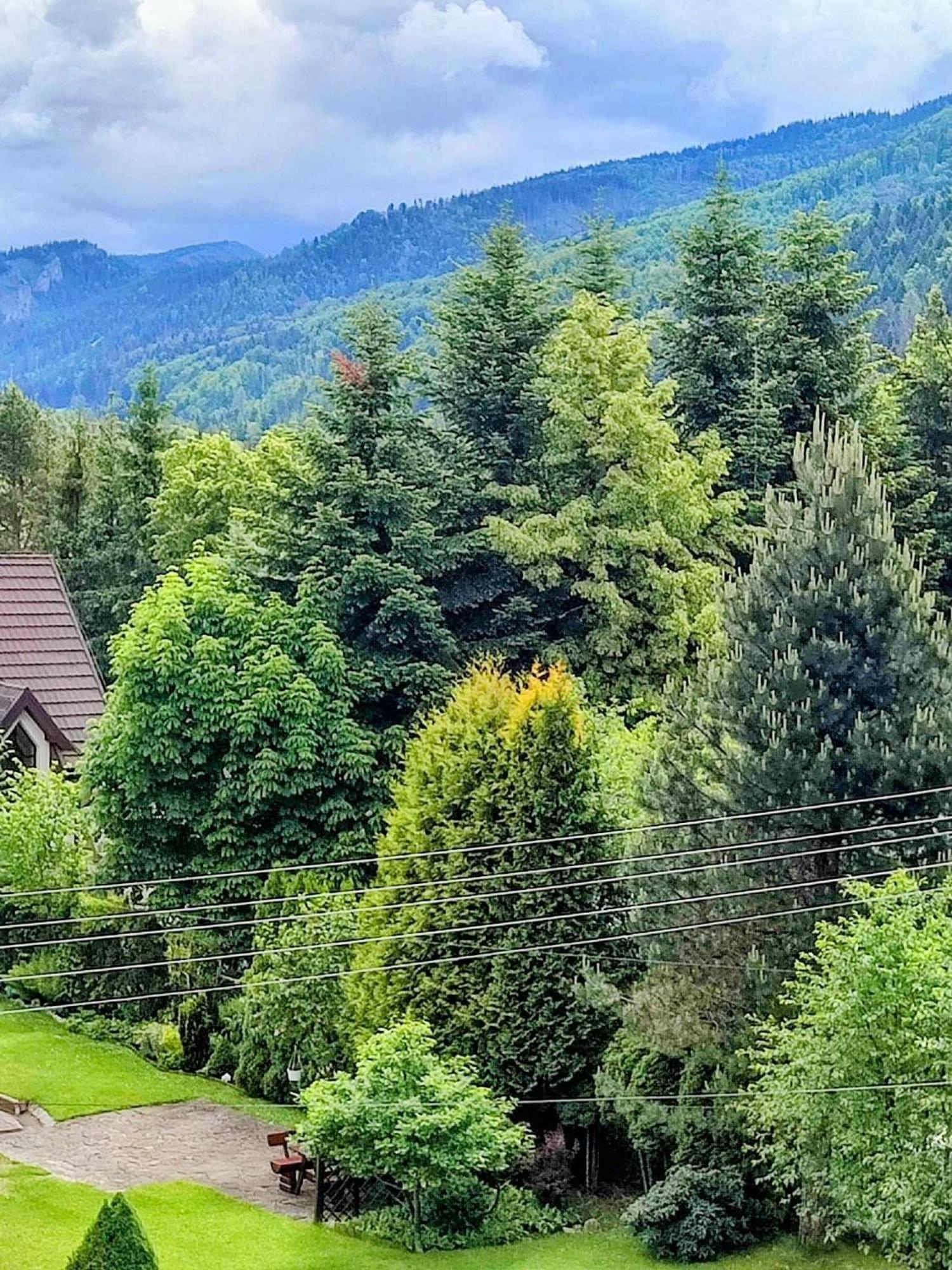 Dom Lesnik Apartamento Zakopane Exterior foto